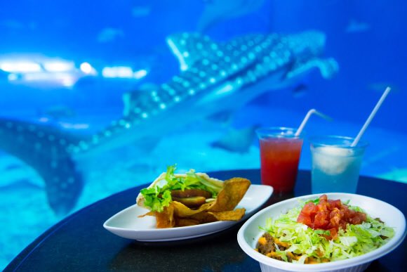 大人スイーツ部 カフェ オーシャンブルー 美ら海水族館のカフェ ジンベイザメ見ながらお茶なんてシチュエーションはきっとないと思う 大人スイーツ部 カフェ オーシャンブルー 美ら海水族館のカフェ ジンベイザメ見ながらお茶なんてシチュエーションはきっとないと思う