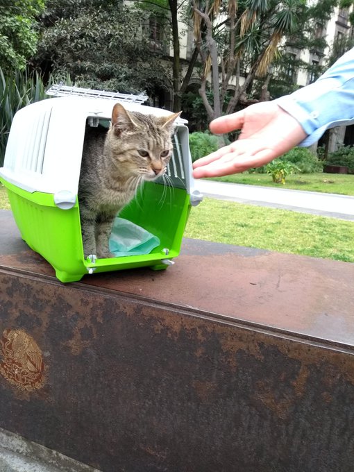 Ver imagen en Twitter