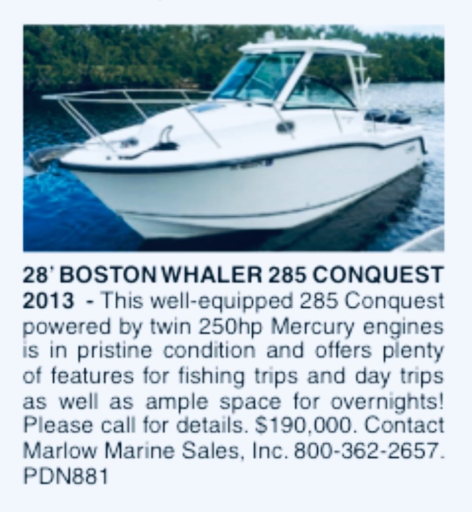 Dales Gallery tweet media