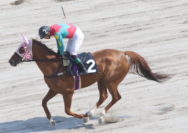 福山競馬 福山競馬