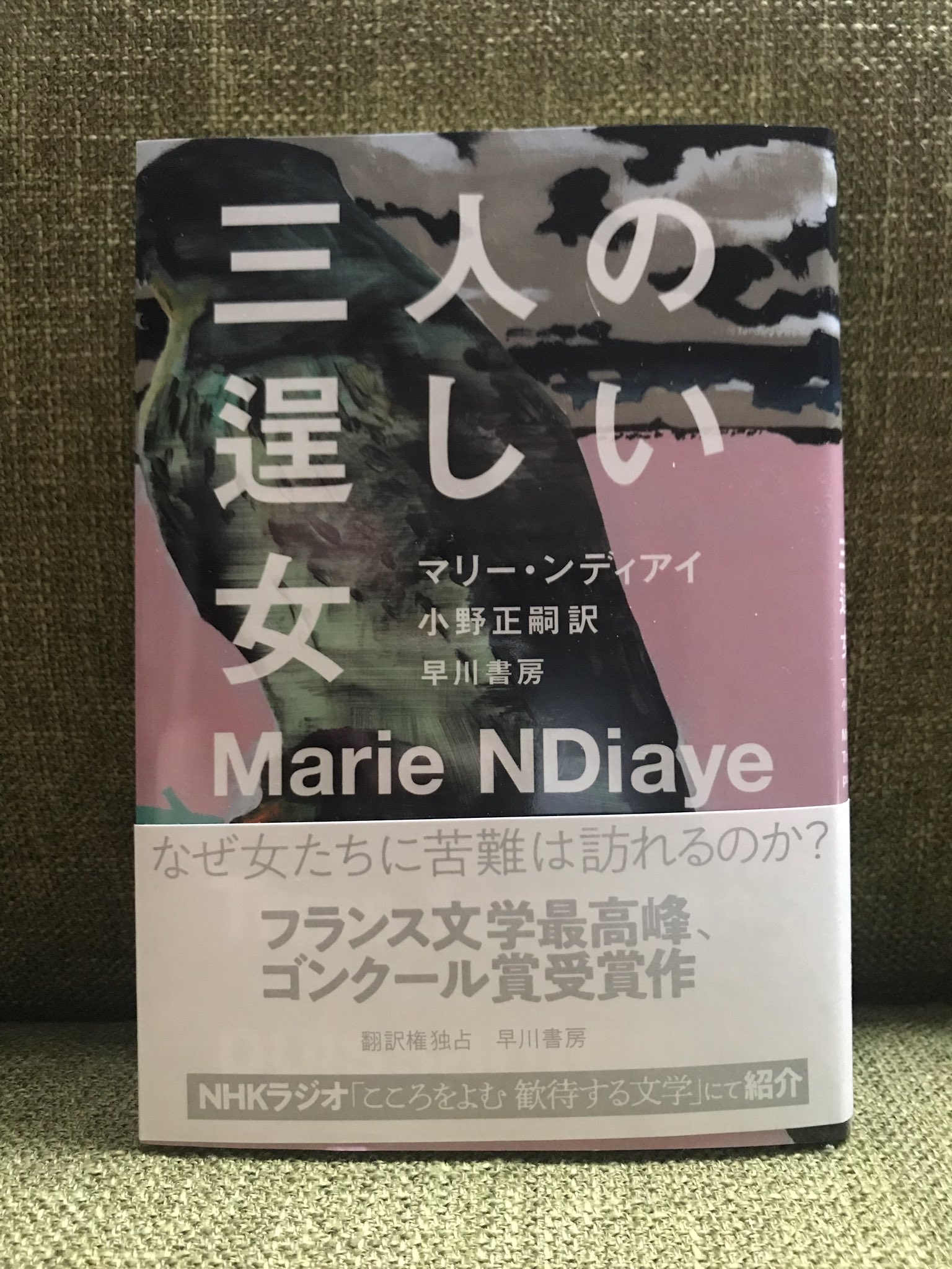 伊藤聡 三人の逞しい女 早川書房 本当にいい小説なのに 読んだ人の感想があまり届いてこなかったんだけど いとうせいこうさんが評を書いてくれた 嬉しい T Co Uzxsvavtiv Twitter