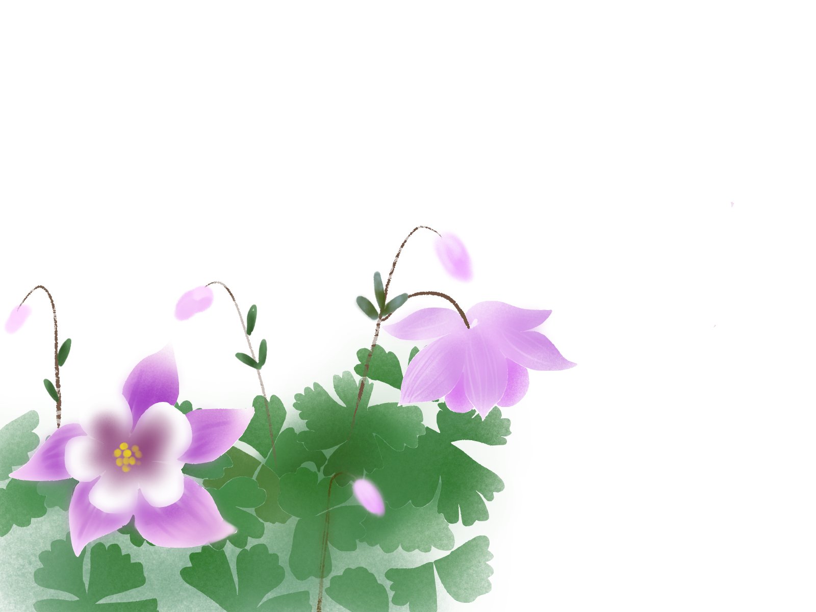 愛ちん ゆめみ愛 Twitter पर イラストacさん投稿の５月３０日の誕生花 苧環 オダマキ です 無料なので良かったらどうぞです T Co Ylut4tnqci 静御前が 恋人源義経を想いうたった歌が有名です しづやしづ しづのをだまき 繰り返し 昔を
