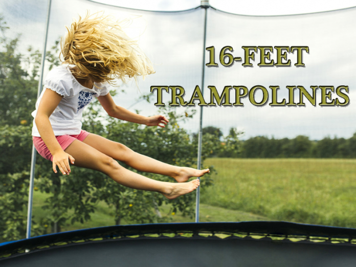 Trampoline Reports (@TrampolineHubs) / Posts / X