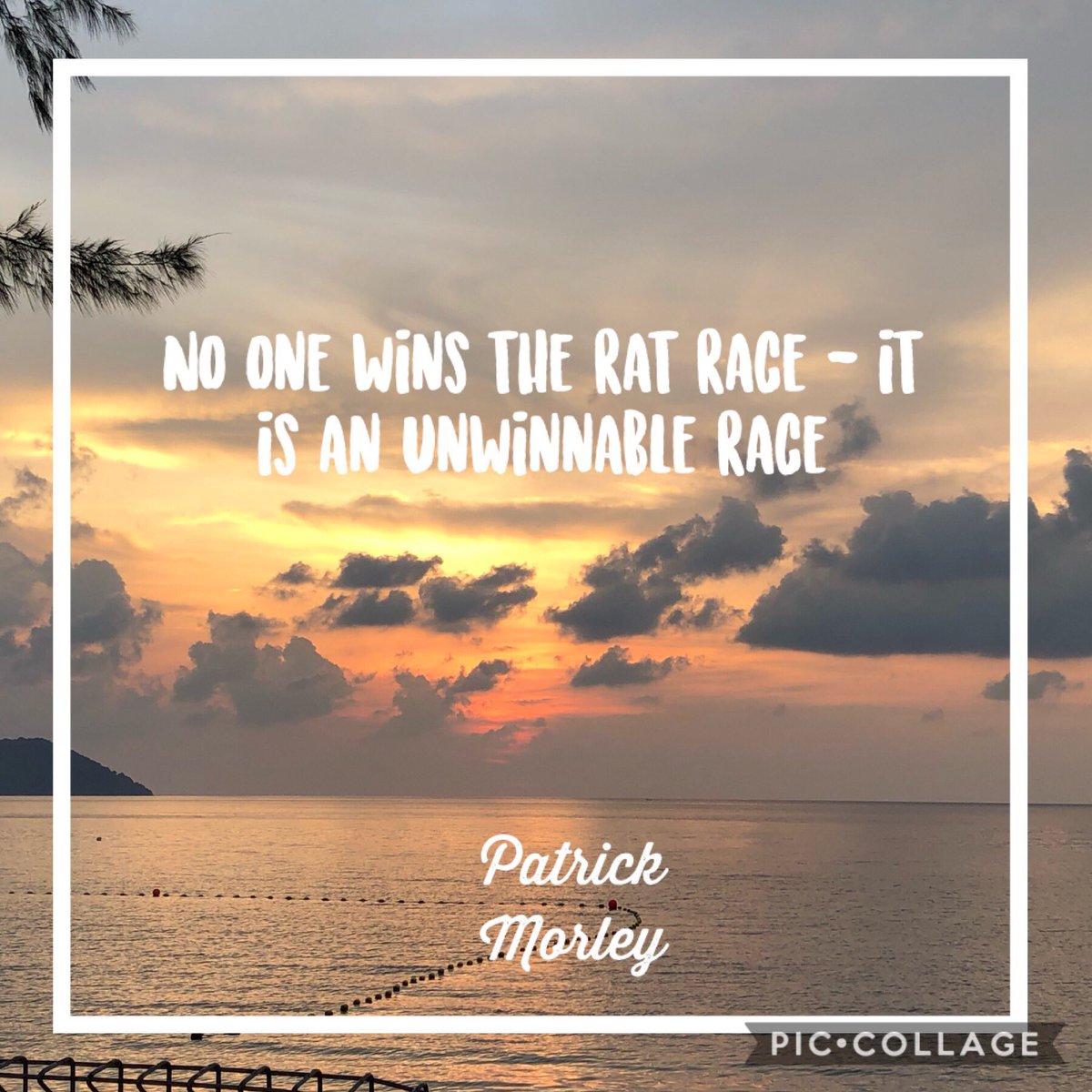 chowsanghoe's tweet photo. No one wins the rat race - it is an unwinnable race. Patrick Morley in his book “The Man in the Mirror”. Reflecting the need to pursue a higher purpose. #BuildBetterWorkingWorld #ThursdayThoughts https://t.co/ZDyToiacqW
