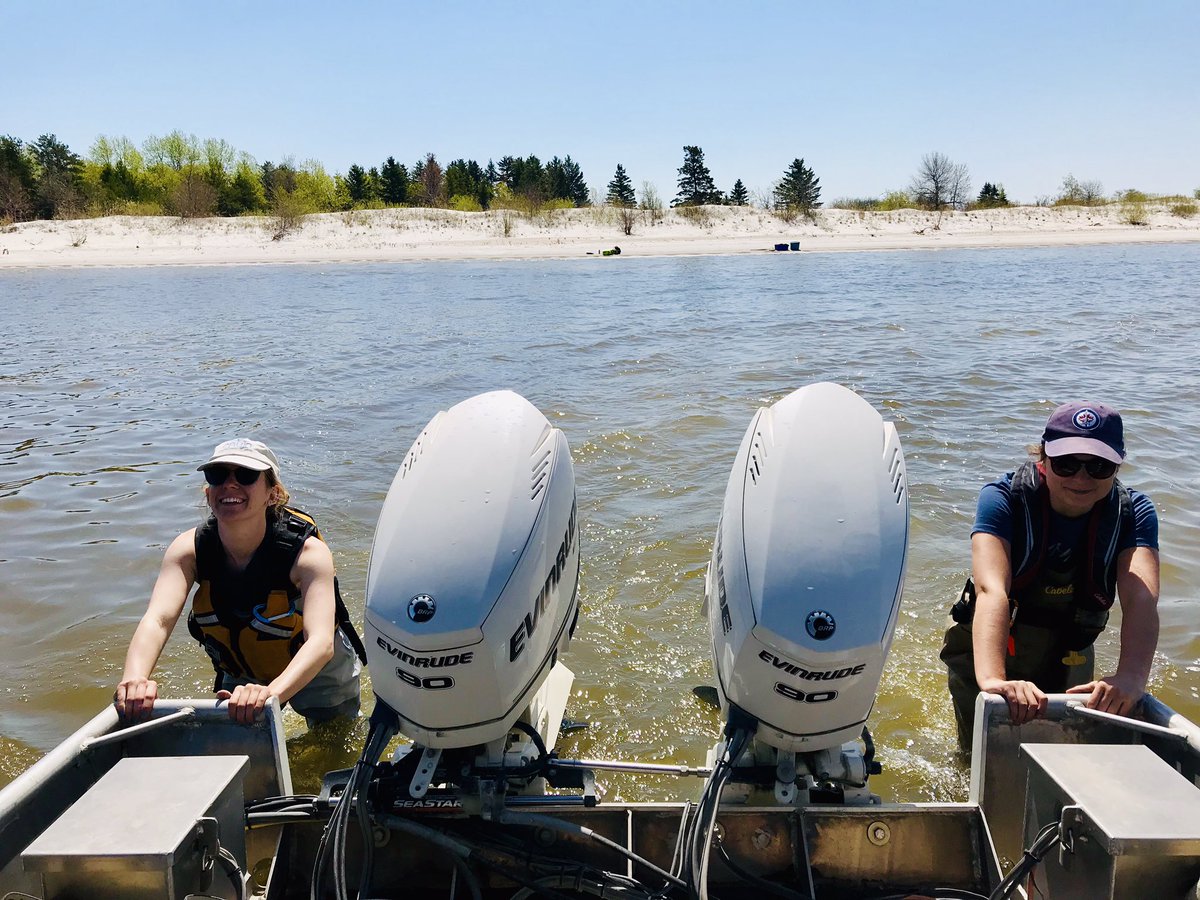 HudsonBayWQMS's tweet image. Riding in style at #HillsideBeach. 

#otherdutiesasassigned #sandbars #gunshow #whichwaytothebeach

#LakeWinnipeg #nearshore