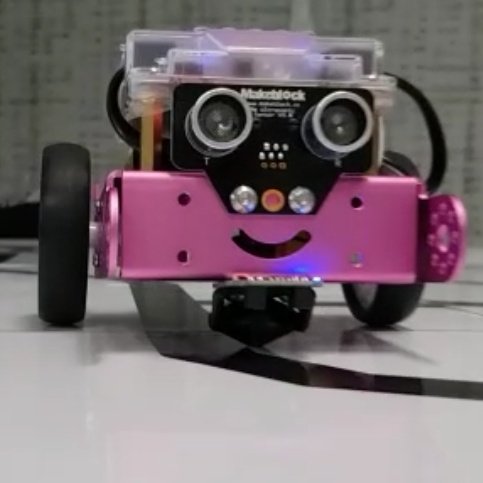 FroggyLL's tweet photo. @Educationtuks Hi Libby! Meet Lilo. She thinks you're very fancy. We'll have to come and visit you so that we can take a picture of the 2 most beautiful #UProbots.
#LLITUP #Collaboratorium
@FroggyLL @MobileAtUP @UPTuks https://t.co/MYAhDcVa3n