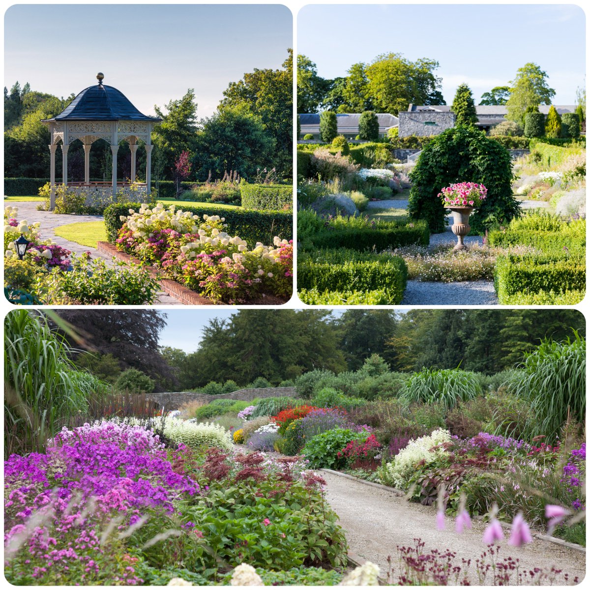 Just some of the glorious gardens of @IrelandBlueBook #BlueBookinBloom #Bloom2019 @bloominthepark @Bordbia