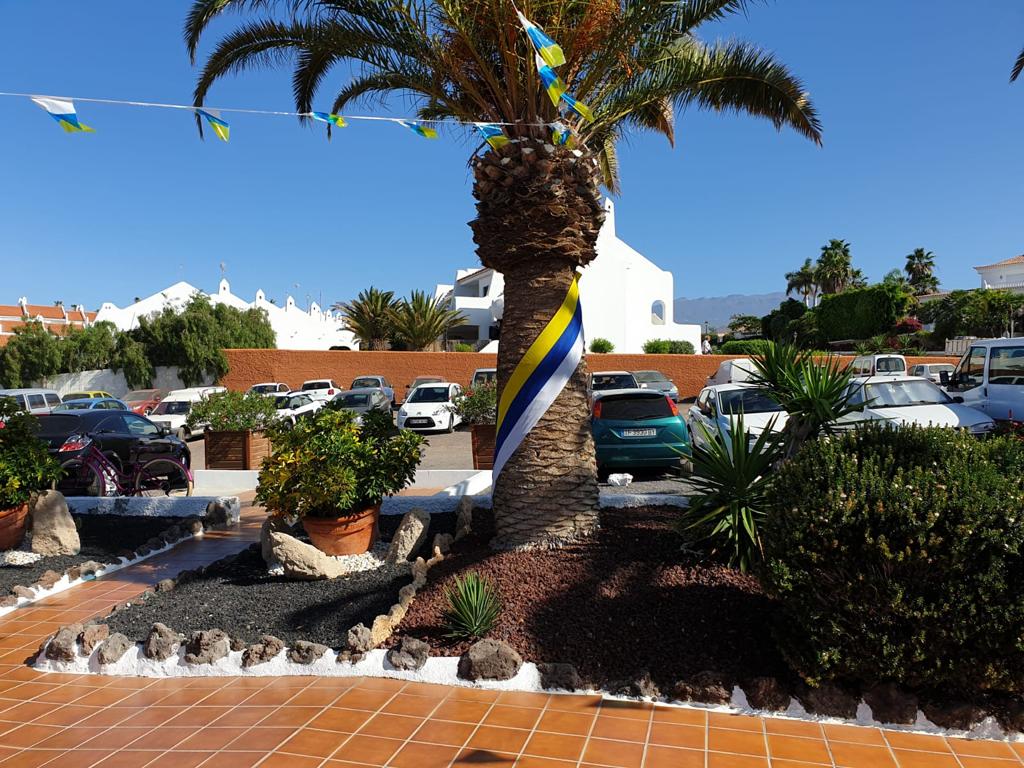 We are ready in #SunsetViewClub for #DiaDeCanarias, discover the #canaryislands traditions! Come and enjoy with us, #LifeAtDiamond #StayVacationed #DPerfectservice #oneteam @Rtccsvc_luisa @Noemi_HOR @NoemiG_RC @Lidia_SVC @juanmaintenance