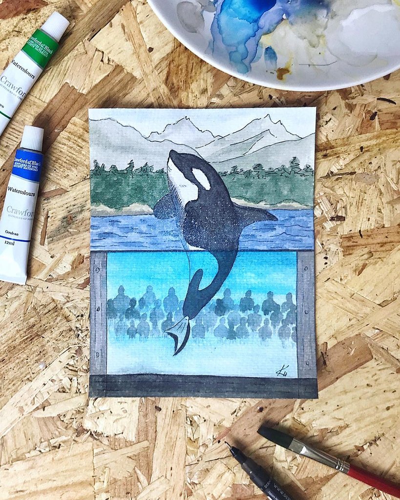 FinsandFluke's tweet photo. Dolphin_Project: Which habitat do you think they prefer? #KeepThemWild!
Have any friends who still believe a tank is an adequate living situation for an orca? Encourage them to check out https://t.co/mzZSv6OS09
Art by Katie Ellen Herrington.

#DolphinPr… https://t.co/wEGX6XmSh0