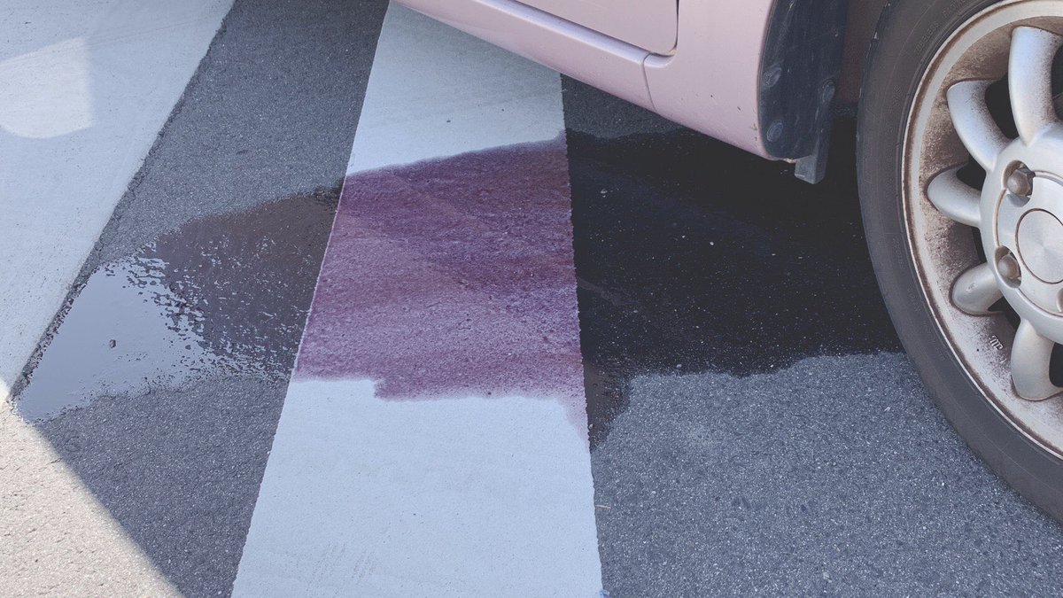 たけたけ クソ下手しょぼギター 拡散希望 嫁が車の買い替えでネクステージに代車を借りたのですが 4日乗っただけで左前輪が折れました 走行中にコンビニに寄ろうしただけで 何かにぶつかったり踏んだりしたわけではないです 対応もずさん過ぎて話に