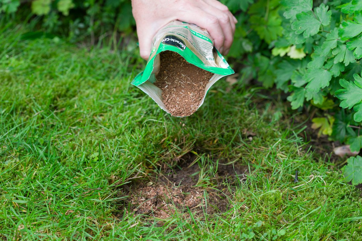 The Rhs On Twitter 2 If You Applied Weed And Feed In March April This Will Be The Second Application You Can Feed Your Lawn Up To Three Times In Spring And Summer