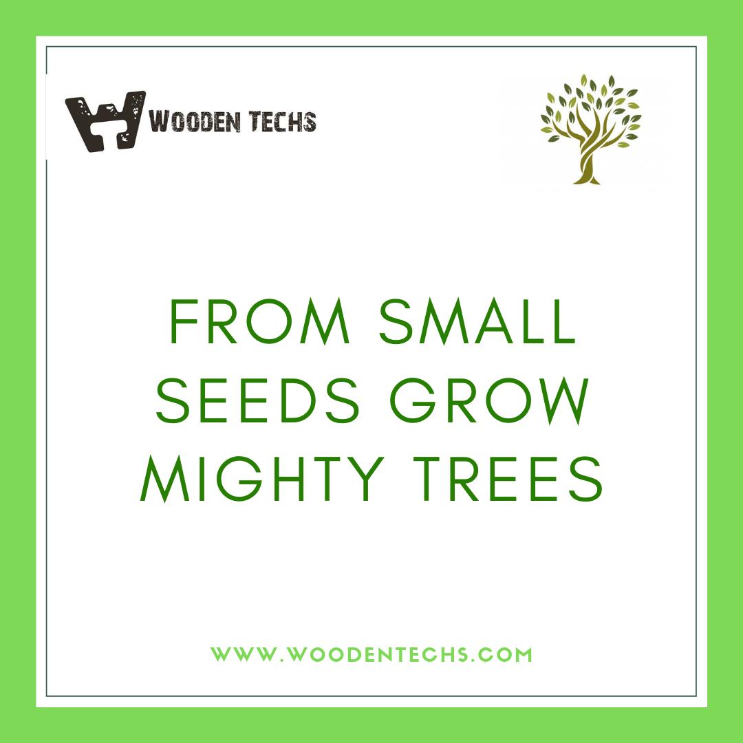 WoodenTechs's tweet image. FROM SMALL SEEDS GROW MIGHTY TREES
#woodentech #nature #naturephotography #travel #love #landscape #photooftheday #beautiful #naturelovers #sky #sunset #wildlife #winter #sun #mountains #adventure #flowers #travelphotography #life #beauty