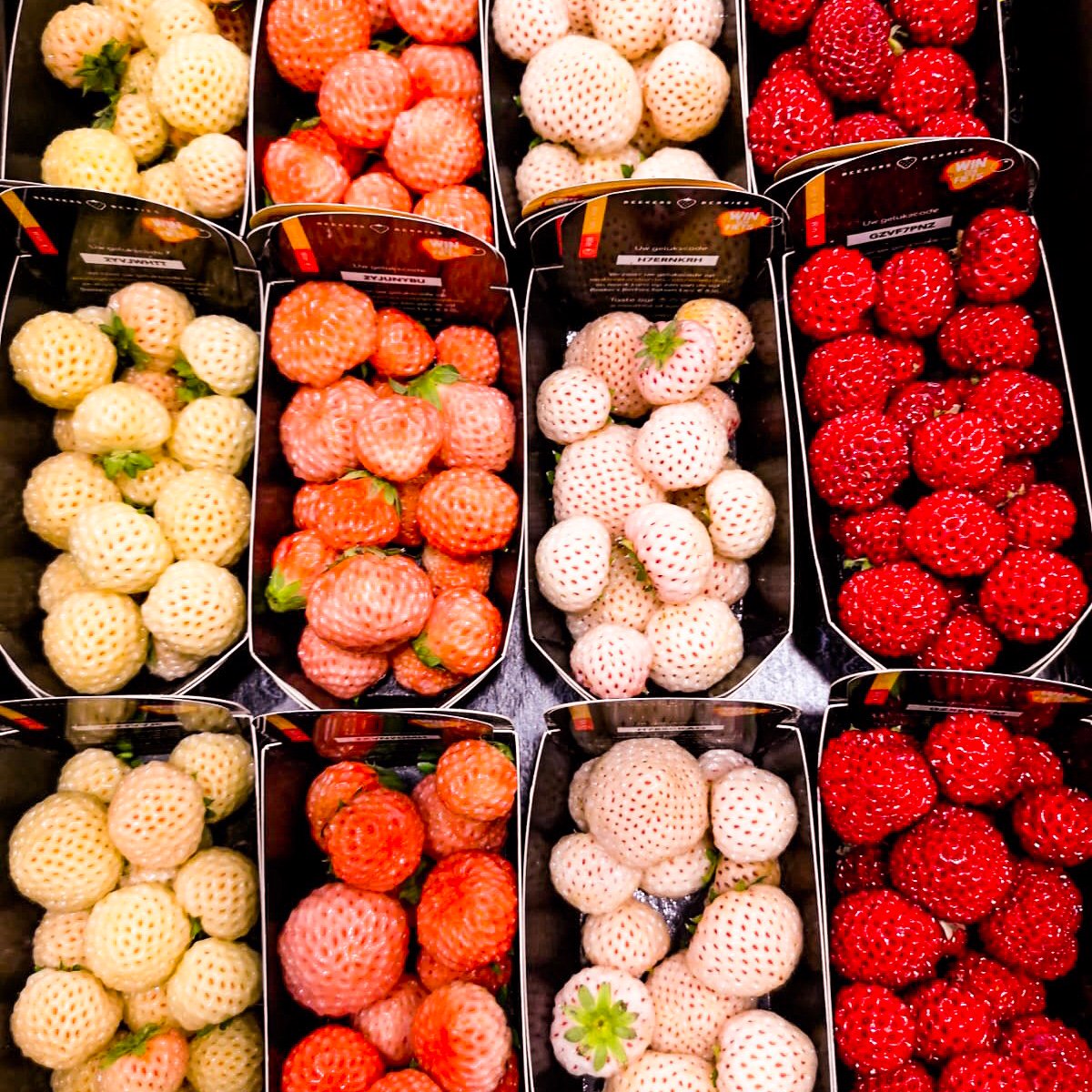 Delifreshltd's tweet photo. Mixed Trays - cheeky 👍👍👍👍👍👍 #strassberry #pineberry #peachberry #bubbleberry https://t.co/NS1zoTnssb