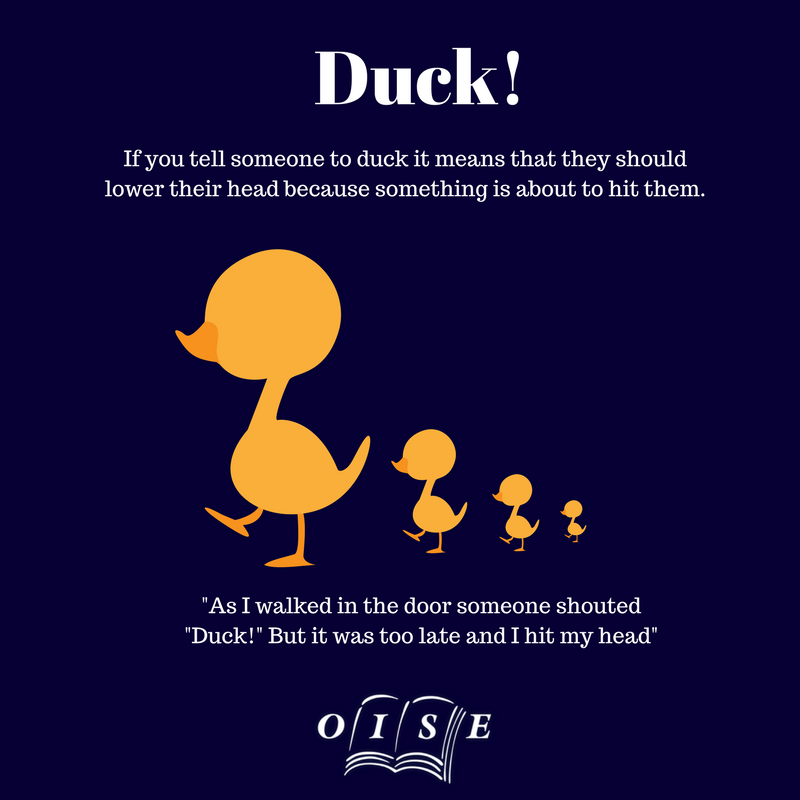 OISE_Germany's tweet photo. Bleiben Sie mit OISE in Kontakt und lernen Sie Englisch! #beoise #englischlernen https://t.co/pfrEoqfyyR