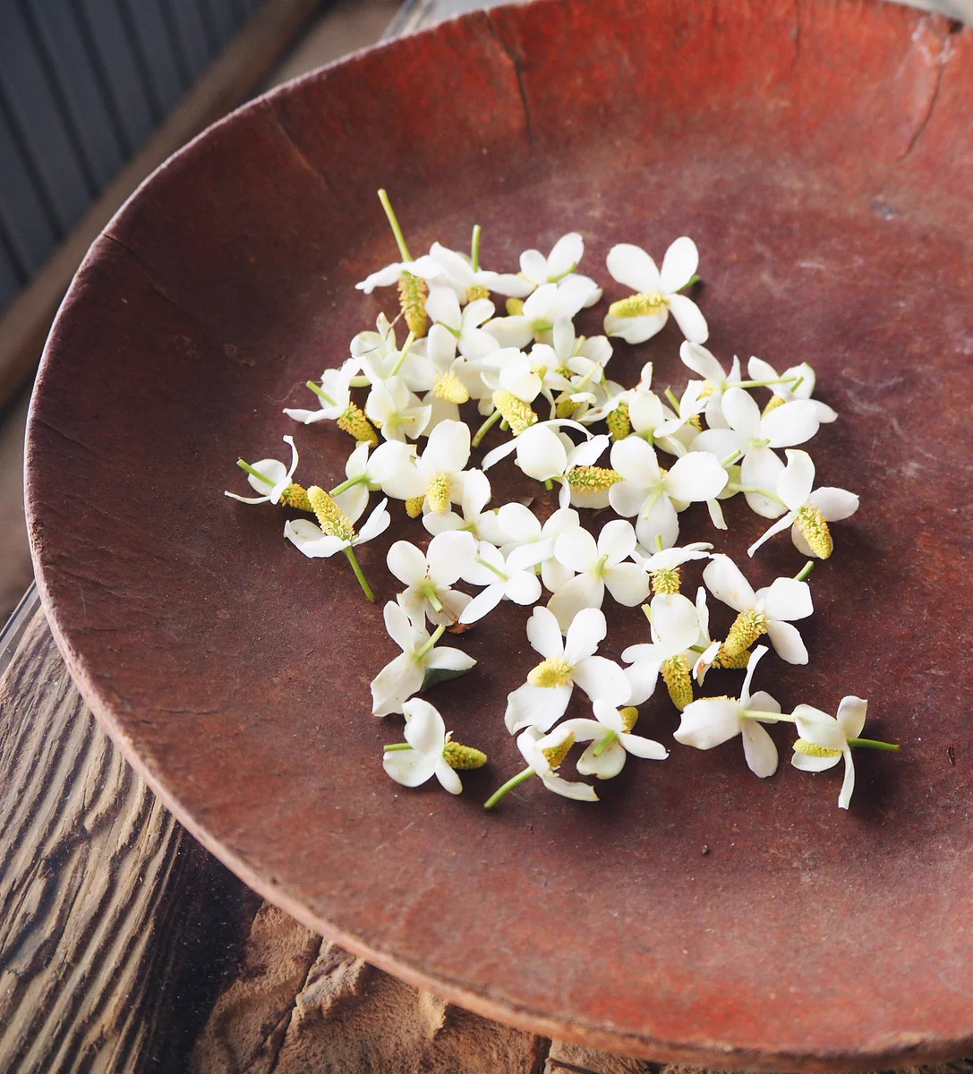虫刺されに効果はテキメン！！どくだみの花・焼酎漬け