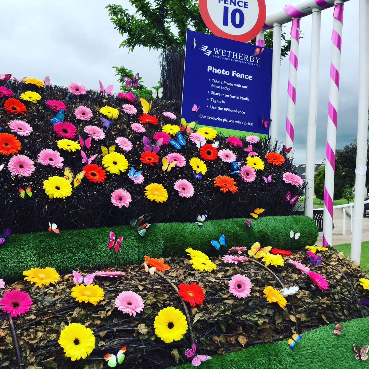 WetherbyRaces's tweet photo. The flower wall is so 2018...2019 is all about the flower fence! Great spot for a selfie 🌸 #PhotoFence @TheRCA #TopSpot #RCAShowcase https://t.co/Ghvm0pacAb