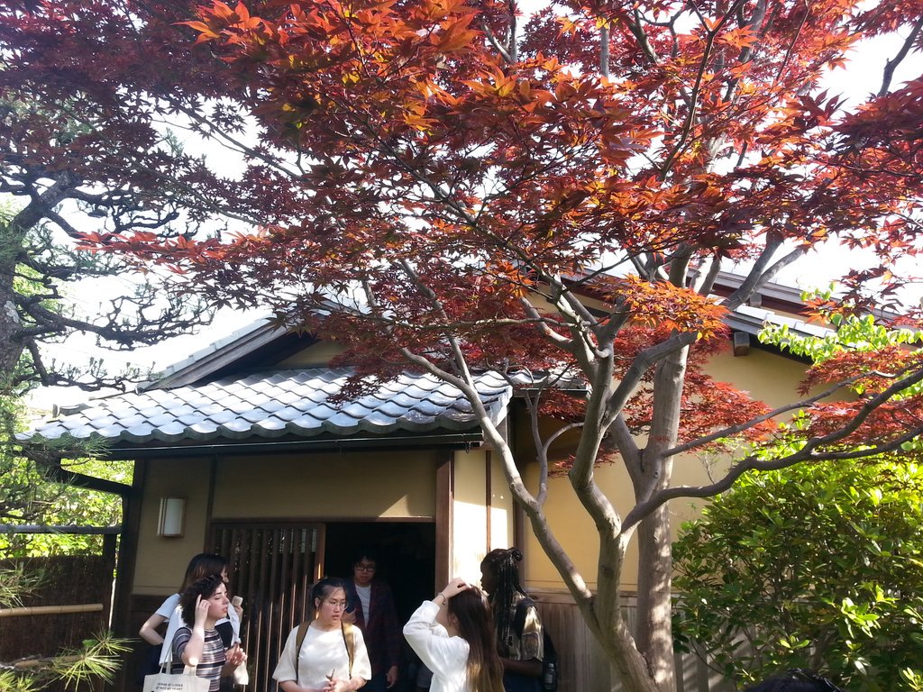 mitchell_epp's tweet image. I really appreciated the horticultural efforts put into the garden around the tea house. It complemented the atmosphere well i thought.#JILC2019