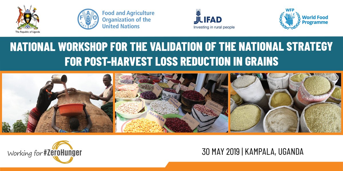 FAOUganda's tweet photo. #HappeningNow: Validation workshop of the National Grain Post-Harvest Management Strategy and Action Plan for Uganda, developed with support from @MAAIF_Uganda, @IFAD @WFP and @FAO. 
#Foodlossreduction #ZeroHunger https://t.co/xxEqaTbcPA
