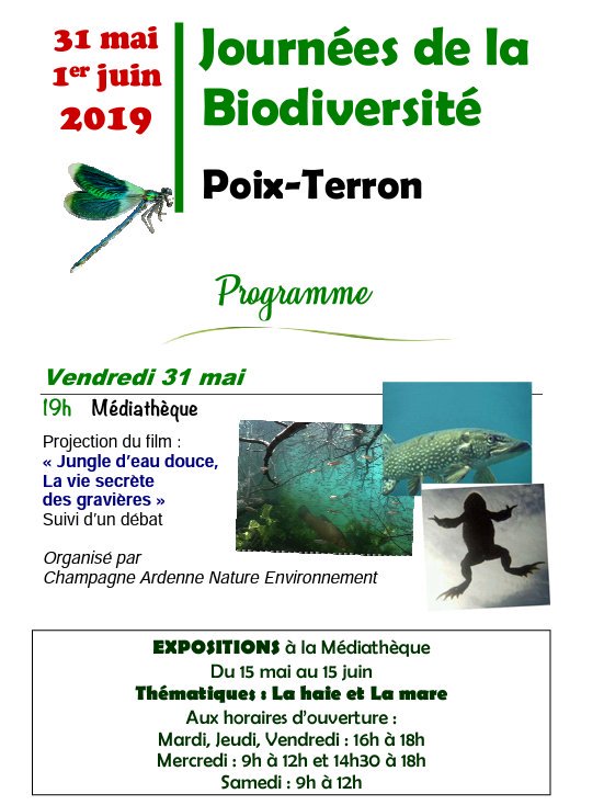 PoixTerron's tweet photo. Soirée Film Débat "Jungle d'eau douce, la vie secrète des gravières"
Vendredi 31 Mai 2019 à 19h
Rendez-vous à la Médiathèque de Poix-Terron
@UnionArdennais @cretesduweb @otcretes @cccpa08 @RVMARDENNES @RADIO8ARDENNES https://t.co/TVchoCmY1W