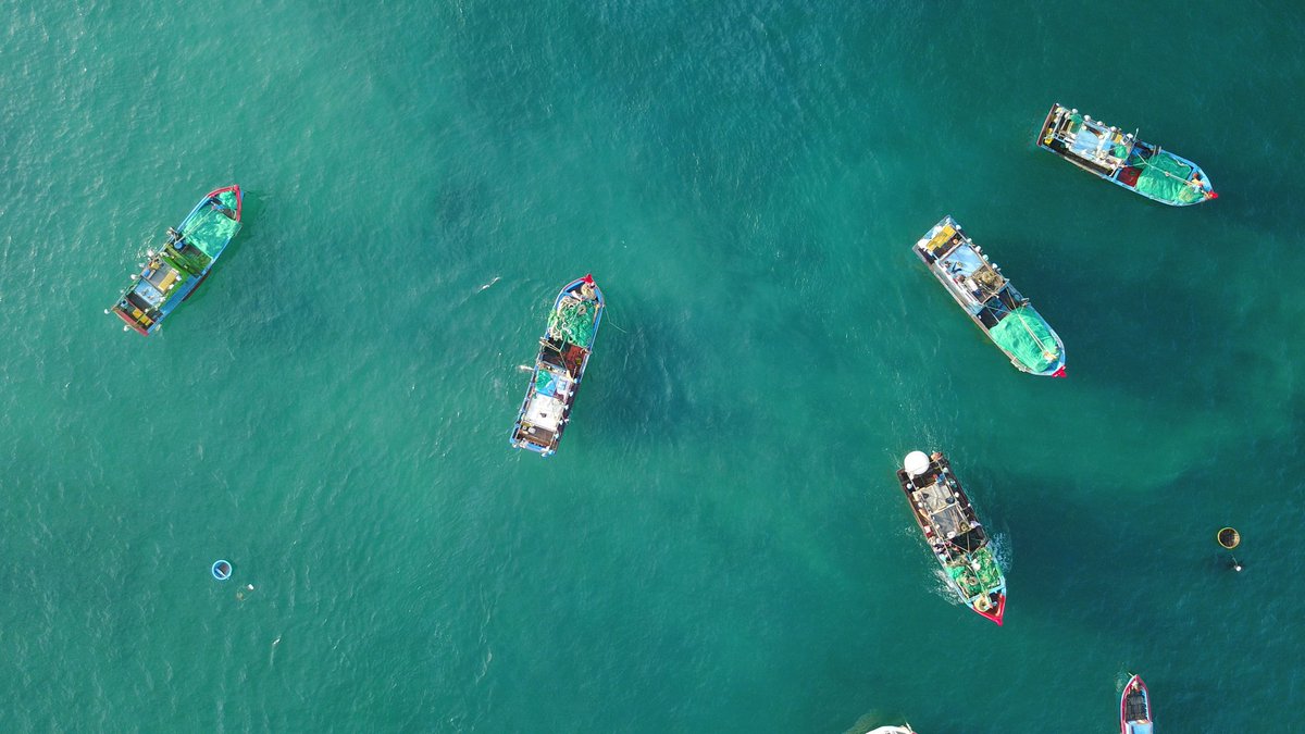 vietnamfasttour's tweet photo. Are you ready for summer escape?
Check out top lesser-known island paradise which are perfect your next #summer_holiday_to_Vietnam
#NamDu Kien Giang
#PhuQuy Binh Thuan
#DiepSon Khanh Hoa
#HonKHo Binh Dinh
#vietnamfasttours #vietnambeaches #vietnamtours #vietnamtravel https://t.co/xS2DWvcvpe