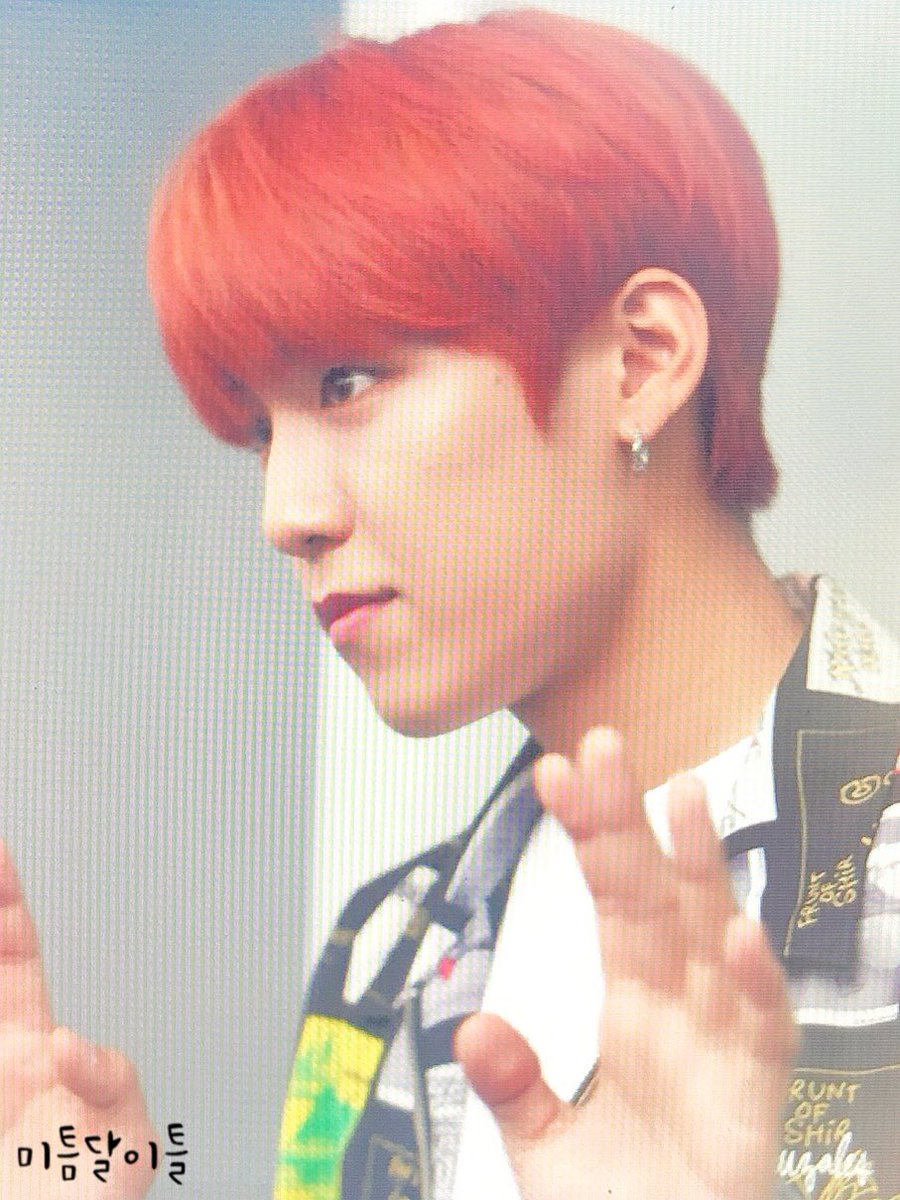 미틈달 이틀☪︎ tweet media
