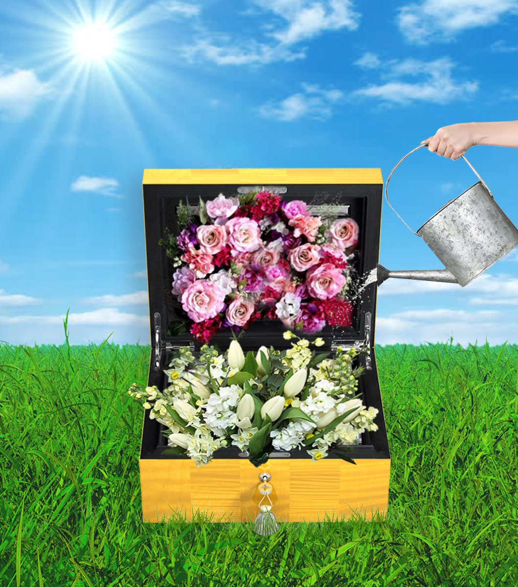 Lotusier tweet media