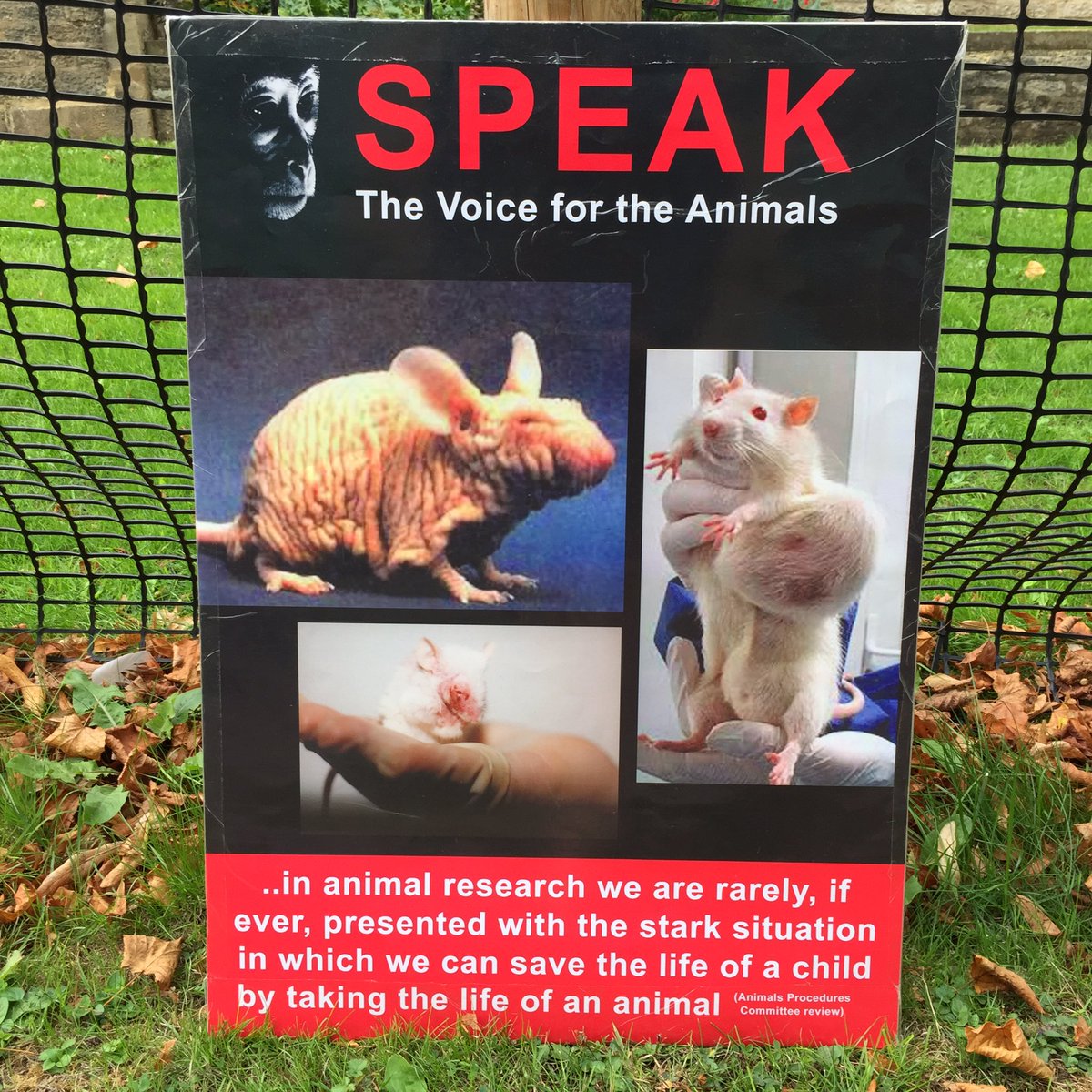 Off to Oxford for @speak_voice weekly demo outside the university’s animal lab where in 2018 alone 219,551 living beings were tortured and killed in cruel, misleading experiments. Please join us on South Parks Rd between 1pm and 5pm. #AnimalRights #AgainstAnimalTesting