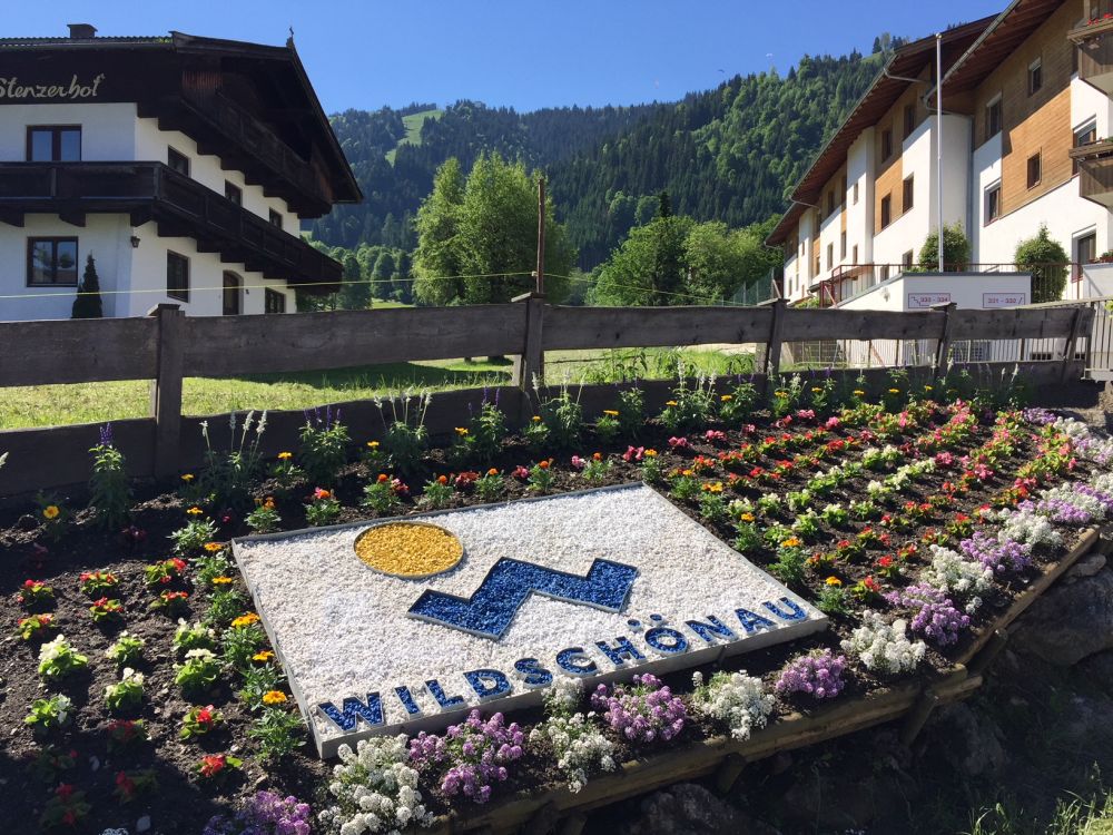 _AlpenTraum's tweet image. Boekt u deze zomer bij ons, dan krijgt u gratis de Wildschönau Card: gratis onbeperkt gebruik van de gondels, o.a. in Niederau en Auffach. Gratis gebruik zwembad, tennisbaan, toegang Bergbauer Museum en kortingen op veel andere dingen.