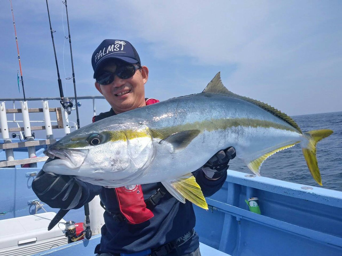 palms_global's tweet photo. Big Yellowtail in Japan 🇯🇵 
Rod: Sea Rapture 83H+
#palms #palmsfishing #zetz #anglersrepublic #yellowtail #kingfish #offshorefishing #japanfishing #fishingjapan @palms_japan @palms_global https://t.co/Zj4TxLEDNF