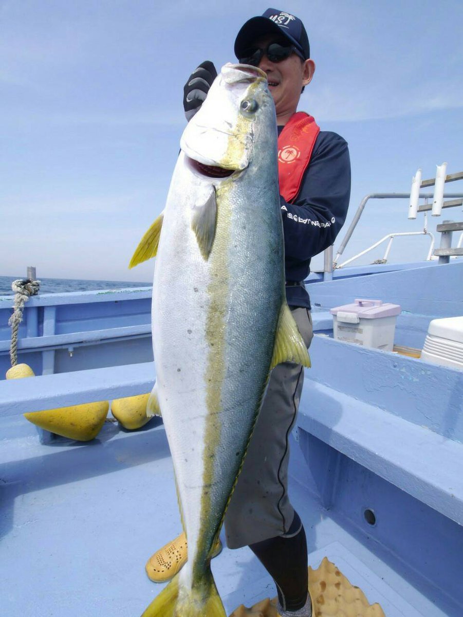 palms_global's tweet photo. Big Yellowtail in Japan 🇯🇵 
Rod: Sea Rapture 83H+
#palms #palmsfishing #zetz #anglersrepublic #yellowtail #kingfish #offshorefishing #japanfishing #fishingjapan @palms_japan @palms_global https://t.co/Zj4TxLEDNF