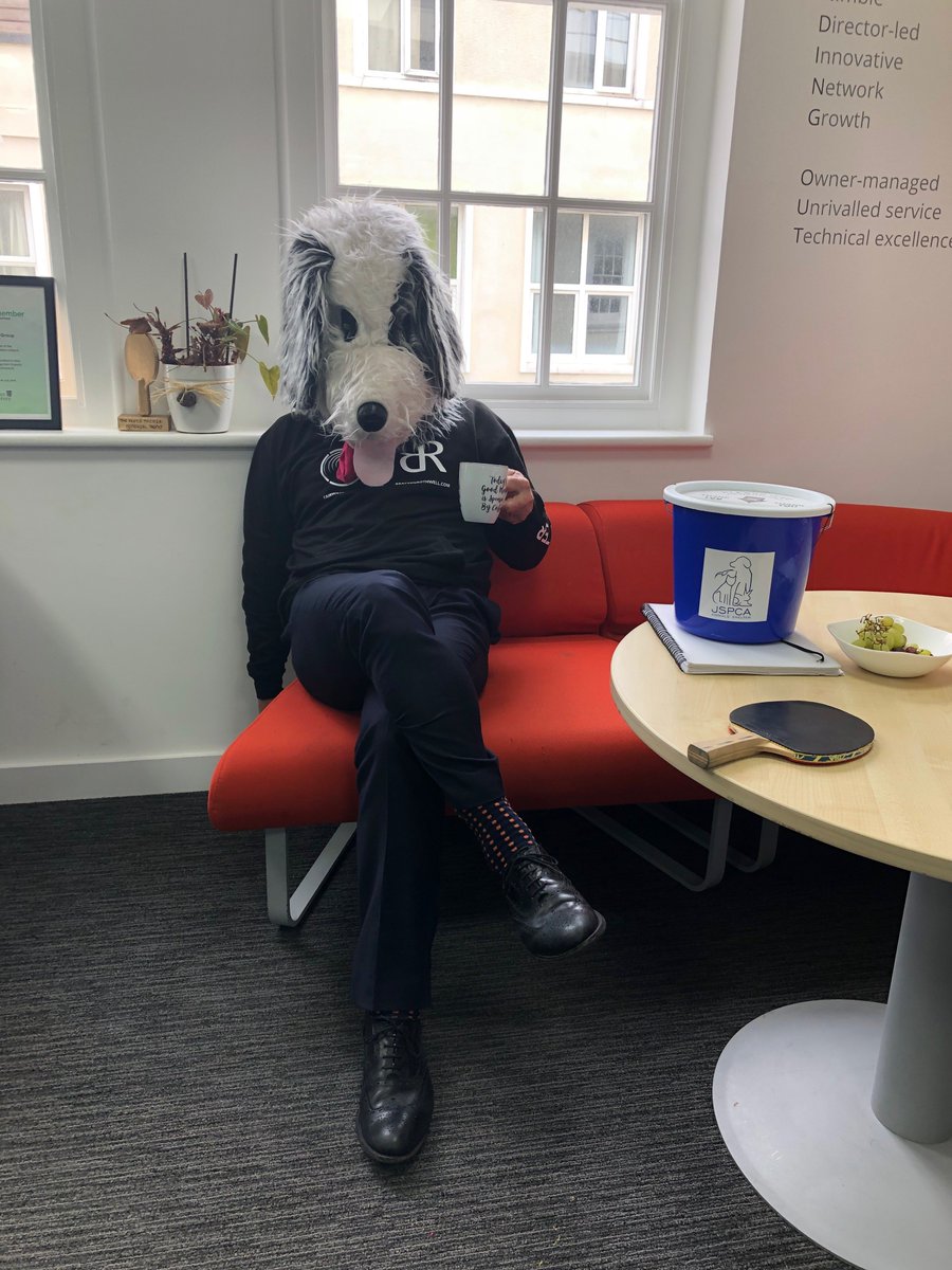 Woooah, we're half way there! Our founder, <a href="/ivystone2014/">alistair rothwell</a> will be wearing this (questionable!?) dog head in order to scare err... raise more money for <a href="/JerseyJSPCA/">JSPCA Animals Shelter</a>   🐶  🐾 justgiving.com/fundraising/Ro…