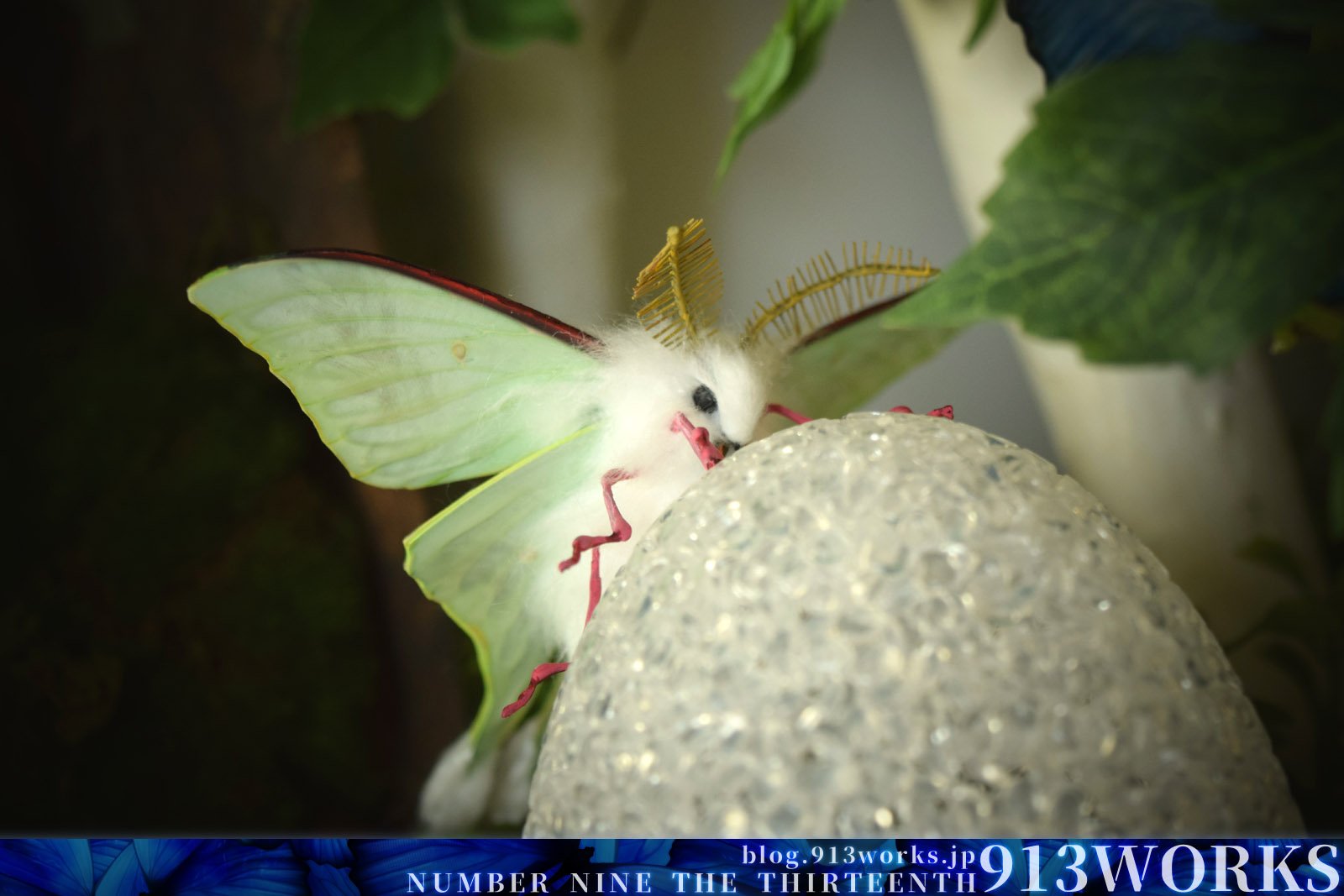 913works 博物ふぇす 用にオナガミズアオのモデルも作りました このモデルは体などのパーツを大きく作り可愛く 仕上げてみました 以前のモデルに比べるとモフモフの作り方が上手く出来たと思います んで このモデルは標本箱的な物に入れ インテリア