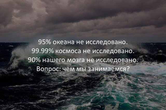 https://pbs.twimg.com/media/D7zeLUQXYAAtY8L.jpg