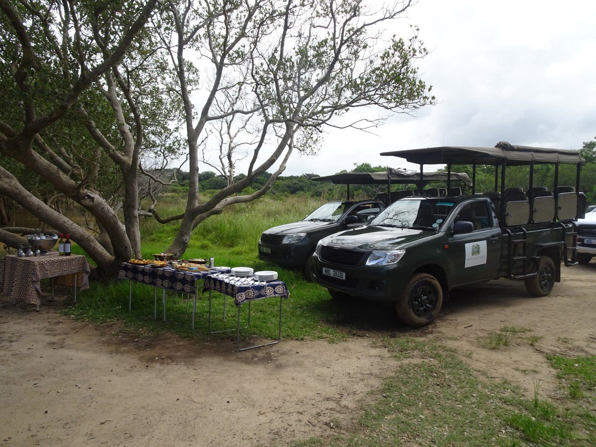 Makakatana's tweet photo. A little pit stop on route...
📷 J &amp; P Taylor
https://t.co/zVCLerYf1U
#LuxurySafari #RefreshmentStop #SafariDreaming #PitStop #Drinks #Snacks #Safari #iSimangalisoWetlandPark #MakakatanaBayLodge https://t.co/OEGnAU12G1