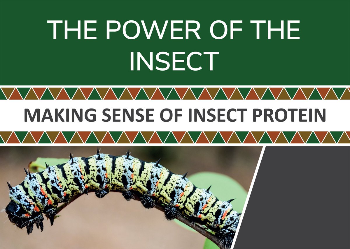 AfricanInsect's tweet image. We can combine its strength with its nutritional value while also exploiting its various other properties, by farming Insects commercially in Africa, where job creation is a must, where Protein is often a luxury and where sustainability is considered the norm.
