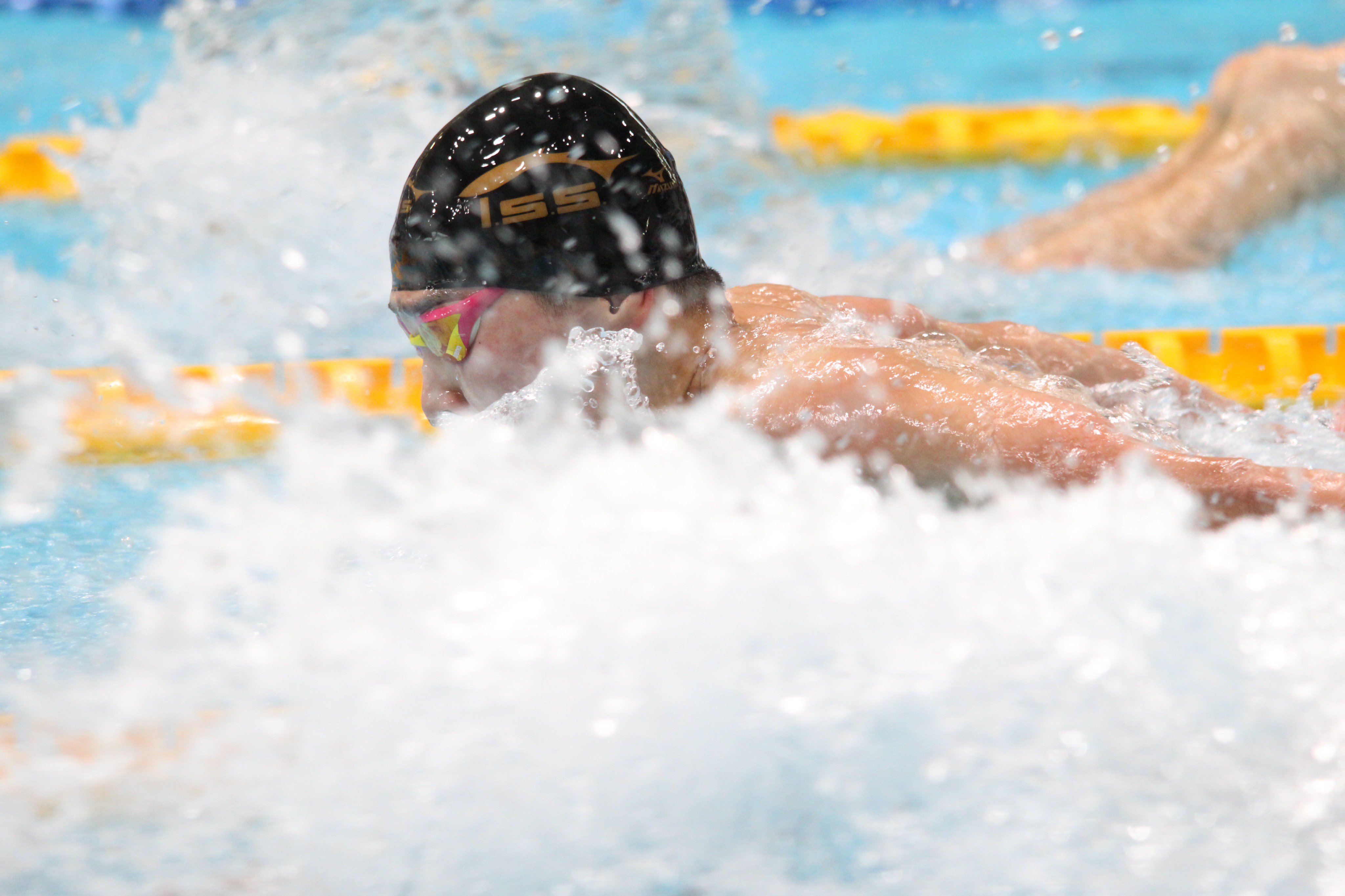 泉 颯光 So Swimmer Ki Twitter