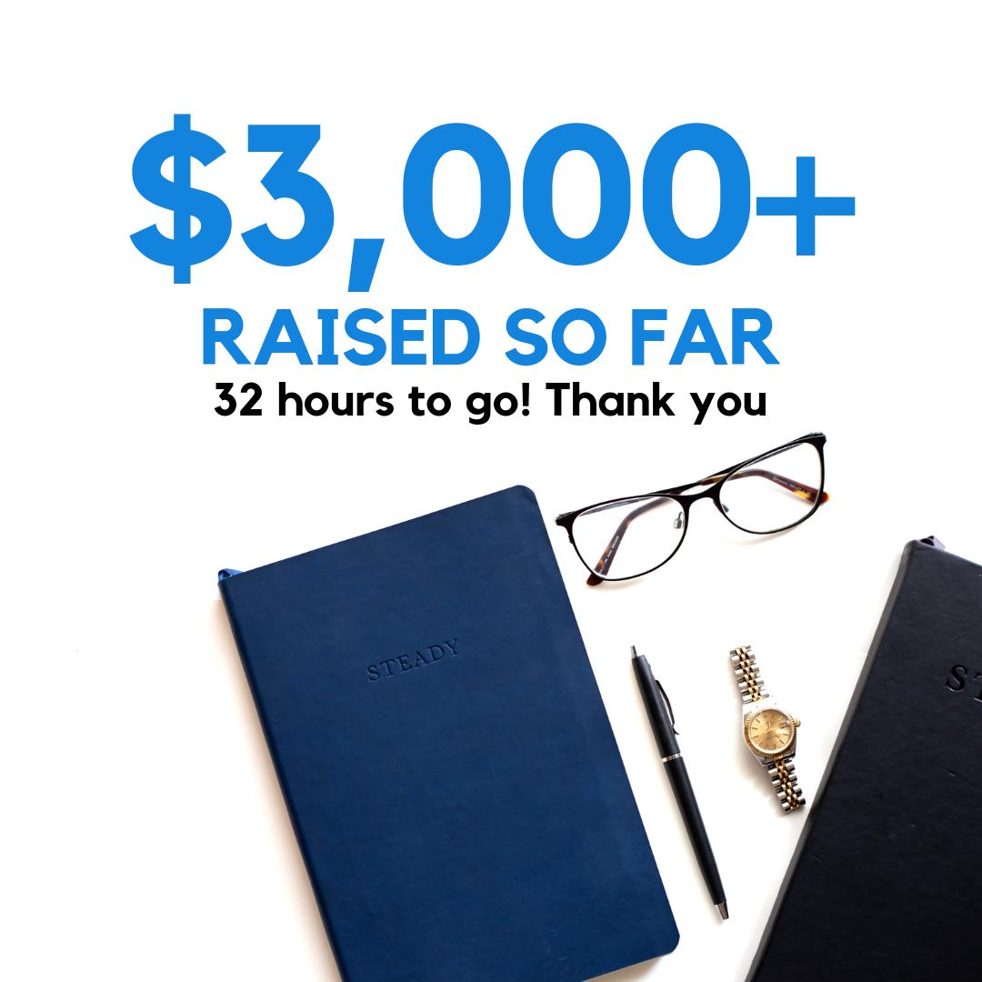 SteadyPlanner's tweet photo. What an amazing push in the last 24 hours! Thank you for all your support 📚✨ If you haven't yet ordered your Steady Planner, you can do so right here: https://t.co/j0clzqtB2W https://t.co/YeE3iKlKJq