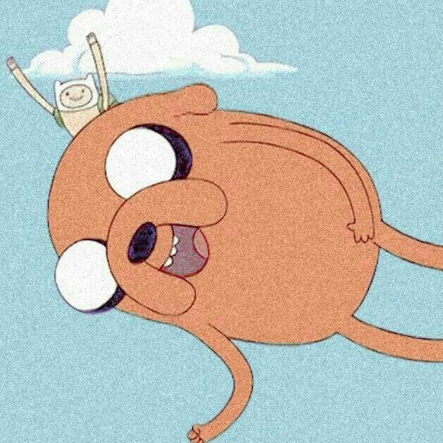 2 4 k. tweet media