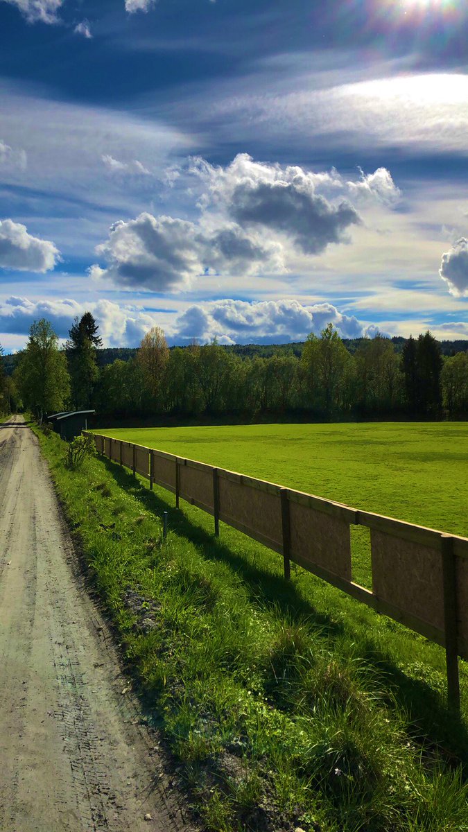 Sokna Fotball Senior tweet media