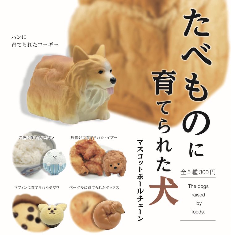 たべものに育てられた犬 パンに育てられたコーギー ご飯に育てられたポメなど最 じゅん の漫画 たべものに育てられた犬 パンに育てられたコーギー ご飯に育てられたポメなど最 じゅん の漫画