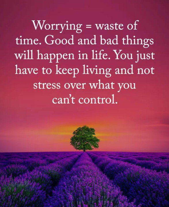 Spoto HS Counseling (@spotohsguidance) on Twitter photo 