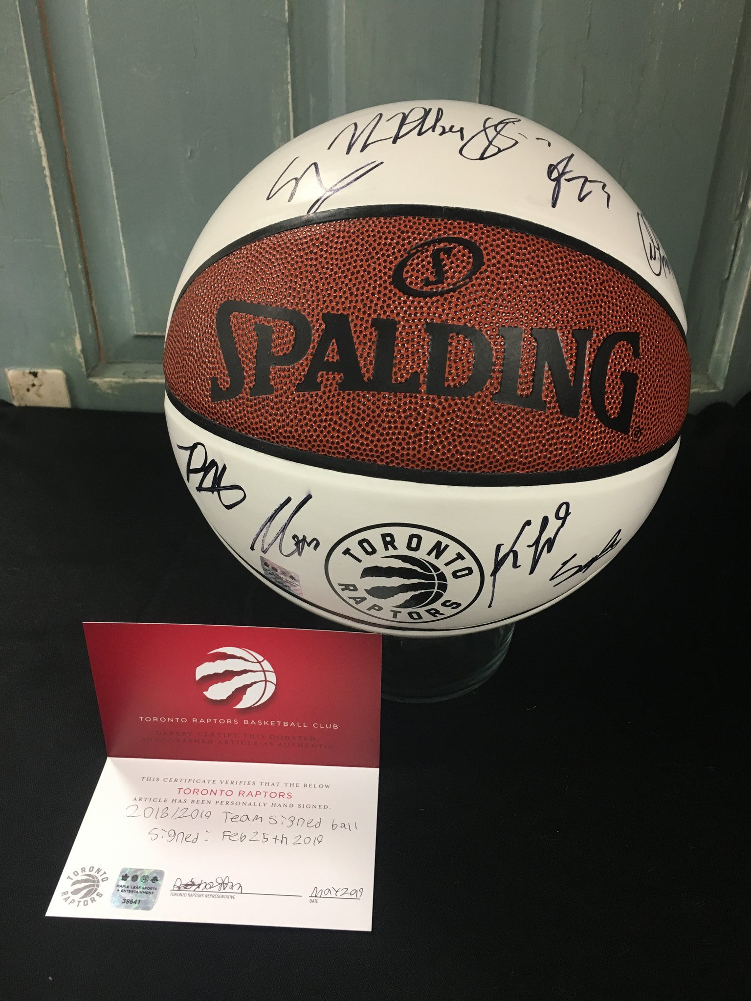 toronto raptors signed basketball