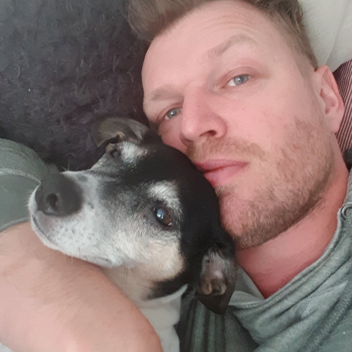 _Marco_van_Dam's tweet photo. Mijn troostboy... hij weet ook genoeg de kleine vriend.. net zwaankleefaan.. #Nikki en #Stolly ๐พ https://t.co/vC6j7usiTY