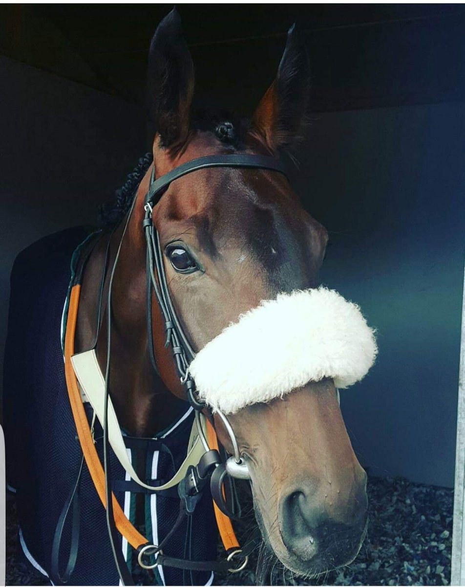 jamiesnowden's tweet photo. Amazingly enough there are three 5% shares still available in the five time #winner #OurReward who won again on Sunday. Do get in touch with either myself or @BecsBailey @TeamHeartRacing for more details and join the winning team. https://t.co/Wc8TFoHzV1