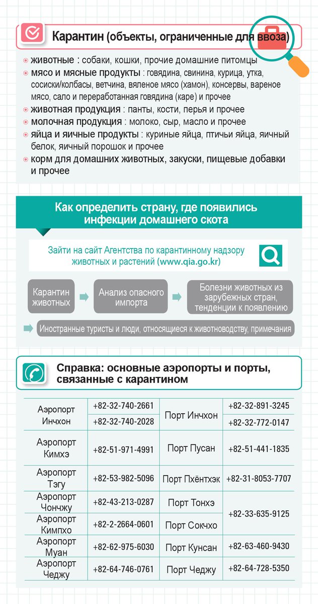 Лекарство которое запрещено вывозить из египта. Какие продукты нельзя провозить в тайланд. Что нельзя ввозить в египет. Необычные запреты разных стран. Что нельзя ввозить в египет.