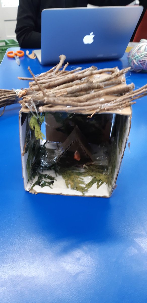 Shaun Harkness tweet media