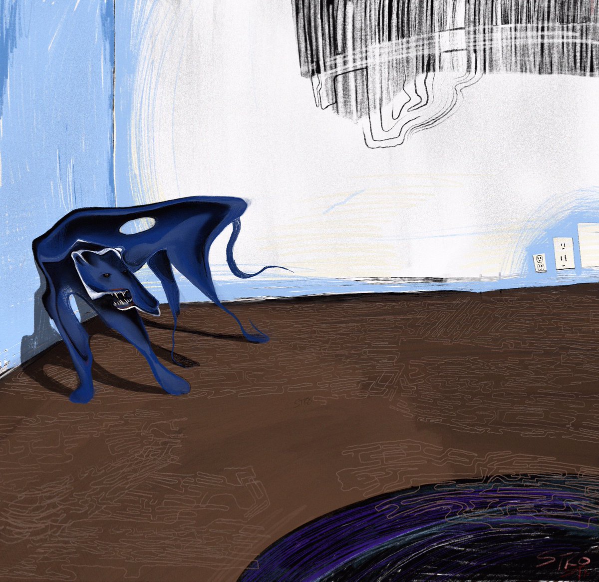 stazienko's tweet image. house cat