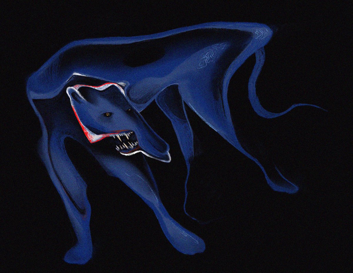 stazienko's tweet image. house cat