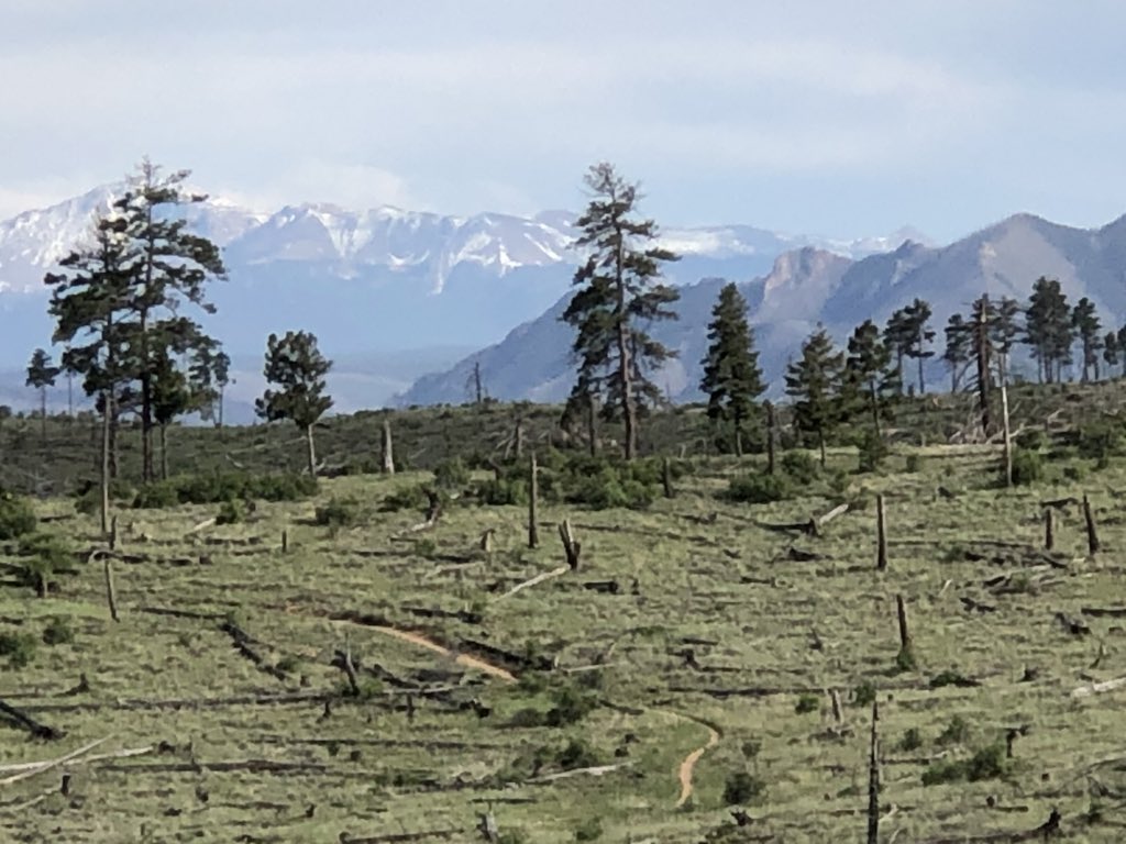 movelearnlife's tweet photo. Segment 2 of the Colorado Trail! Hot and dry🥵 https://t.co/ES9H1bY4tW