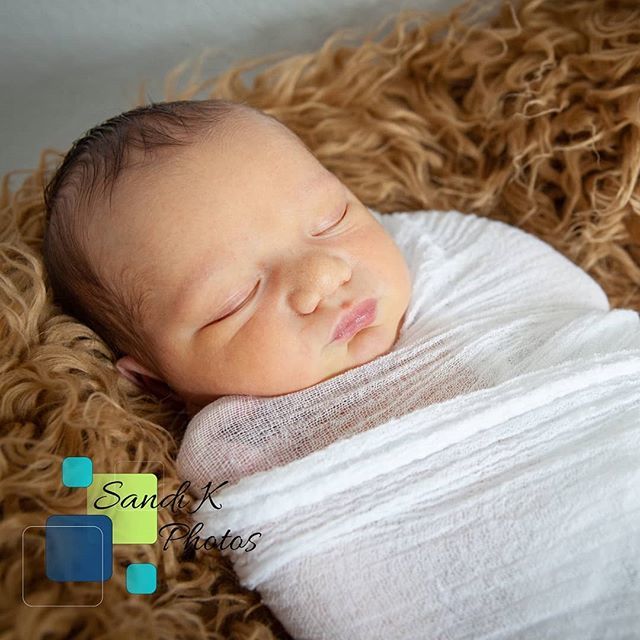 I came all the way to Va for this little guy's photo shoot. ❤